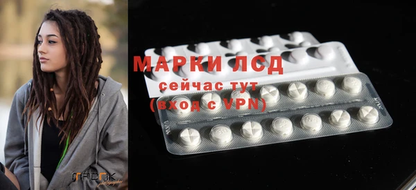 ПСИЛОЦИБИНОВЫЕ ГРИБЫ Беломорск