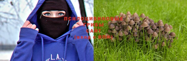 ПСИЛОЦИБИНОВЫЕ ГРИБЫ Беломорск